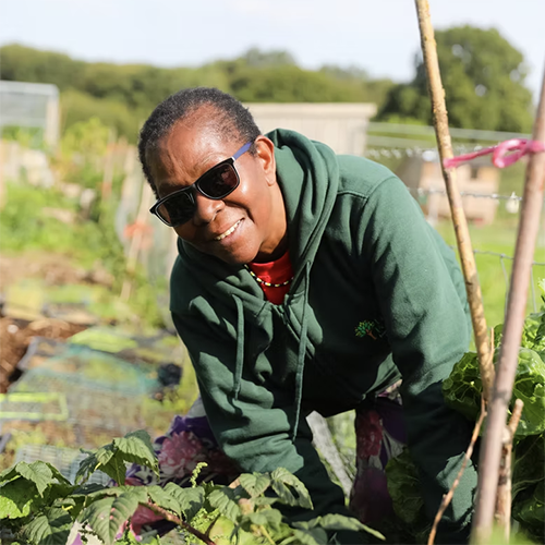Care Farm 1